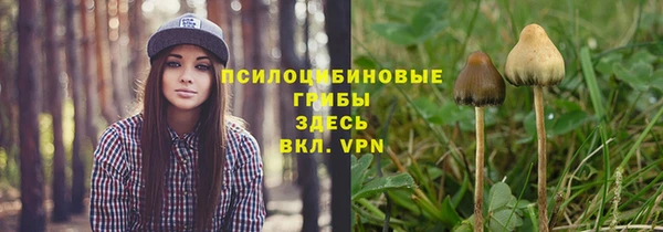 меф Алексин