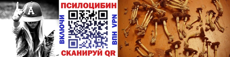 наркотики  Добрянка  Галлюциногенные грибы прущие грибы 