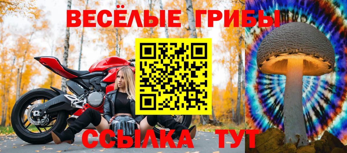 Галлюциногенные грибы MAGIC MUSHROOMS Добрянка