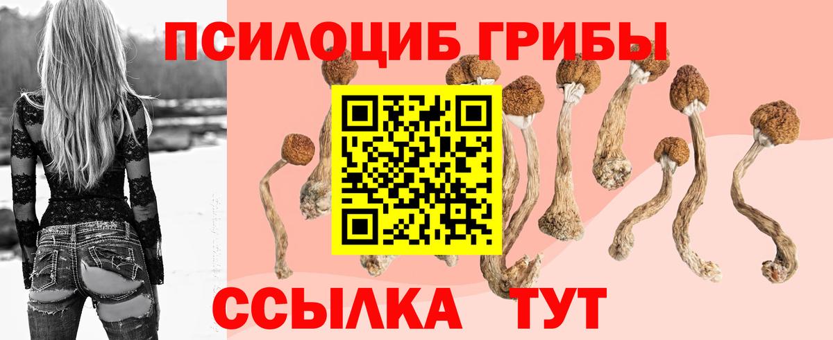 Галлюциногенные грибы ЛСД  наркошоп  Галлюциногенные грибы Magic Shrooms  Добрянка 