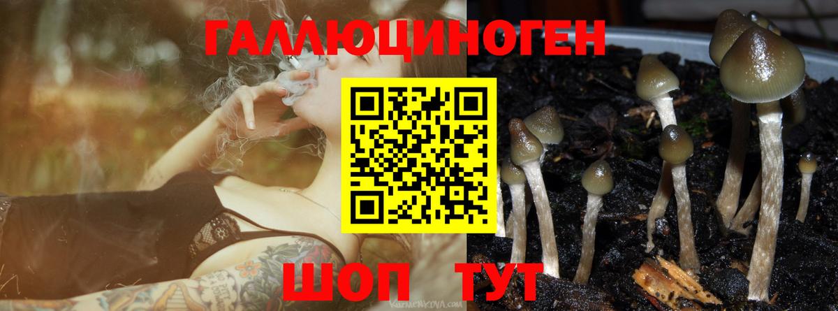 Псилоцибиновые грибы Magic Shrooms  что такое наркотик  Добрянка  Псилоцибиновые грибы GOLDEN TEACHER  Вход с VPN 